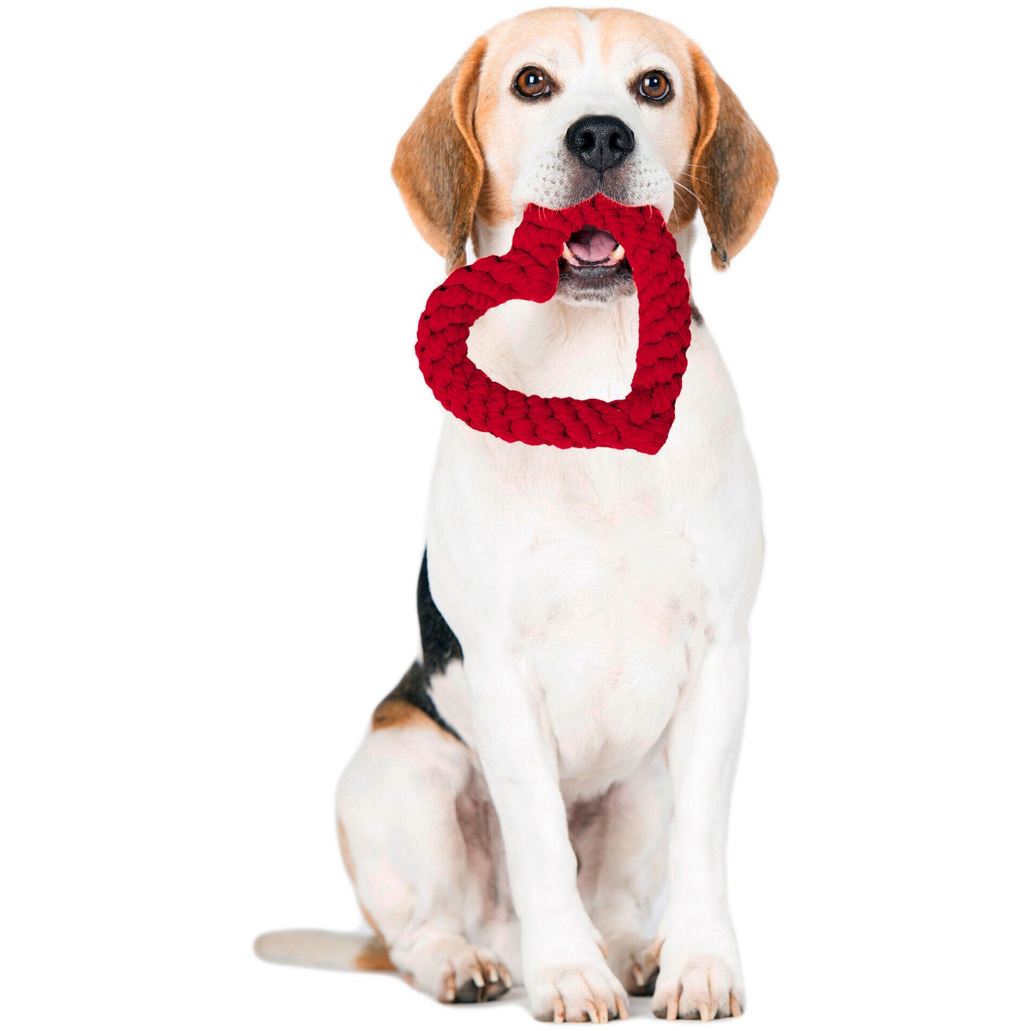 Hertha le Coeur – Jouet en corde pour chien - Laboni