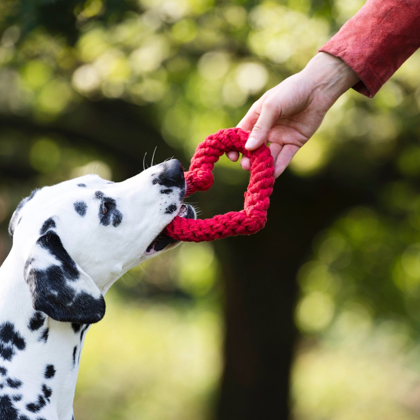 Hertha le Coeur – Jouet en corde pour chien - Laboni