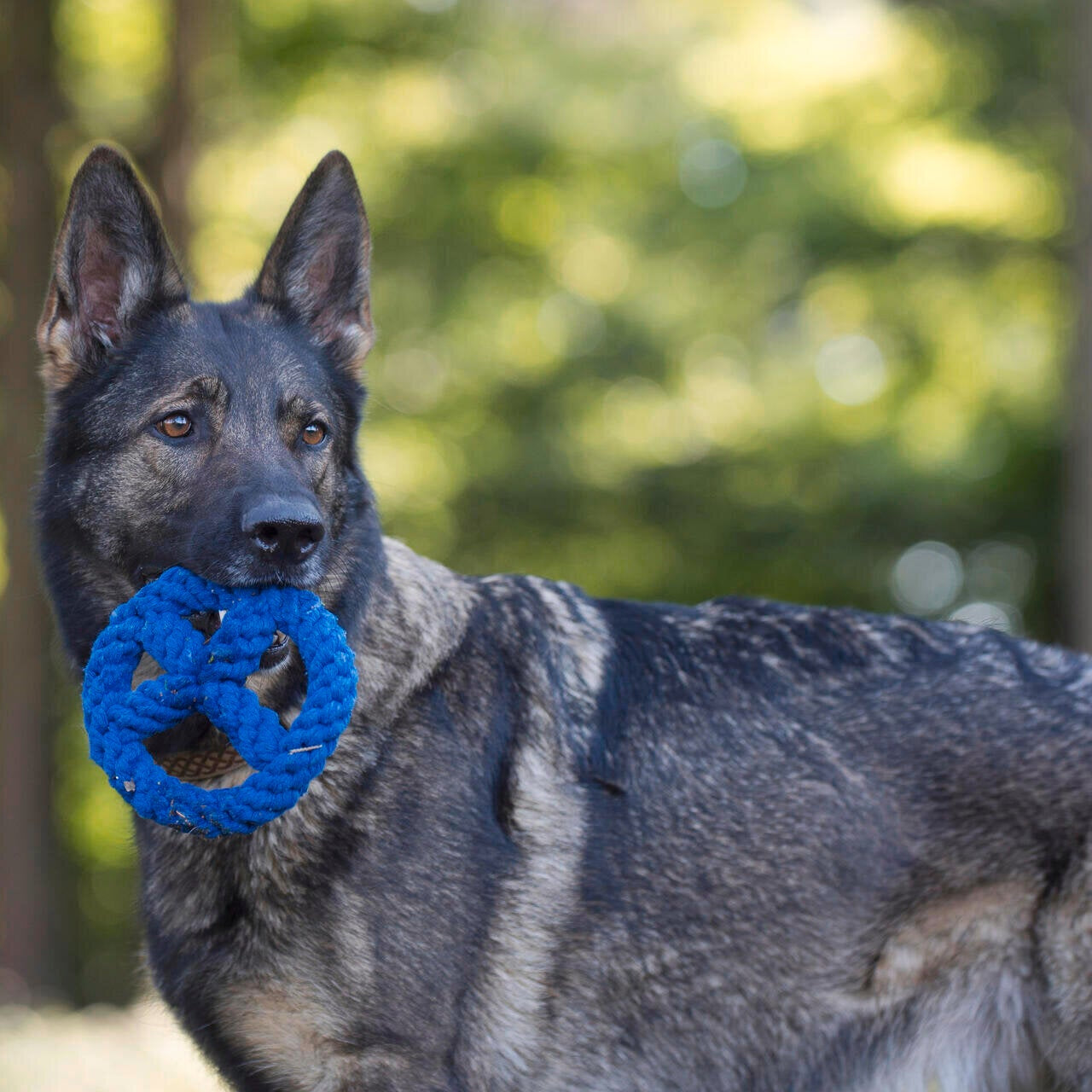 Paulchen Peace – Jouet en corde pour chien - Laboni