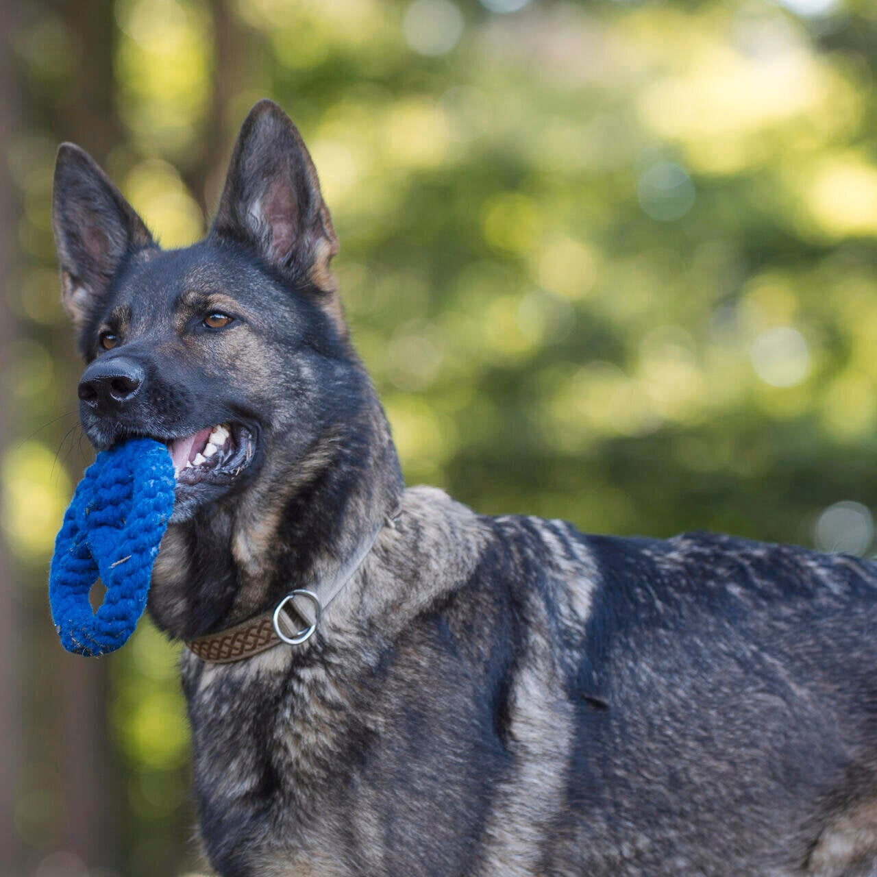 Paulchen Peace – Jouet en corde pour chien - Laboni
