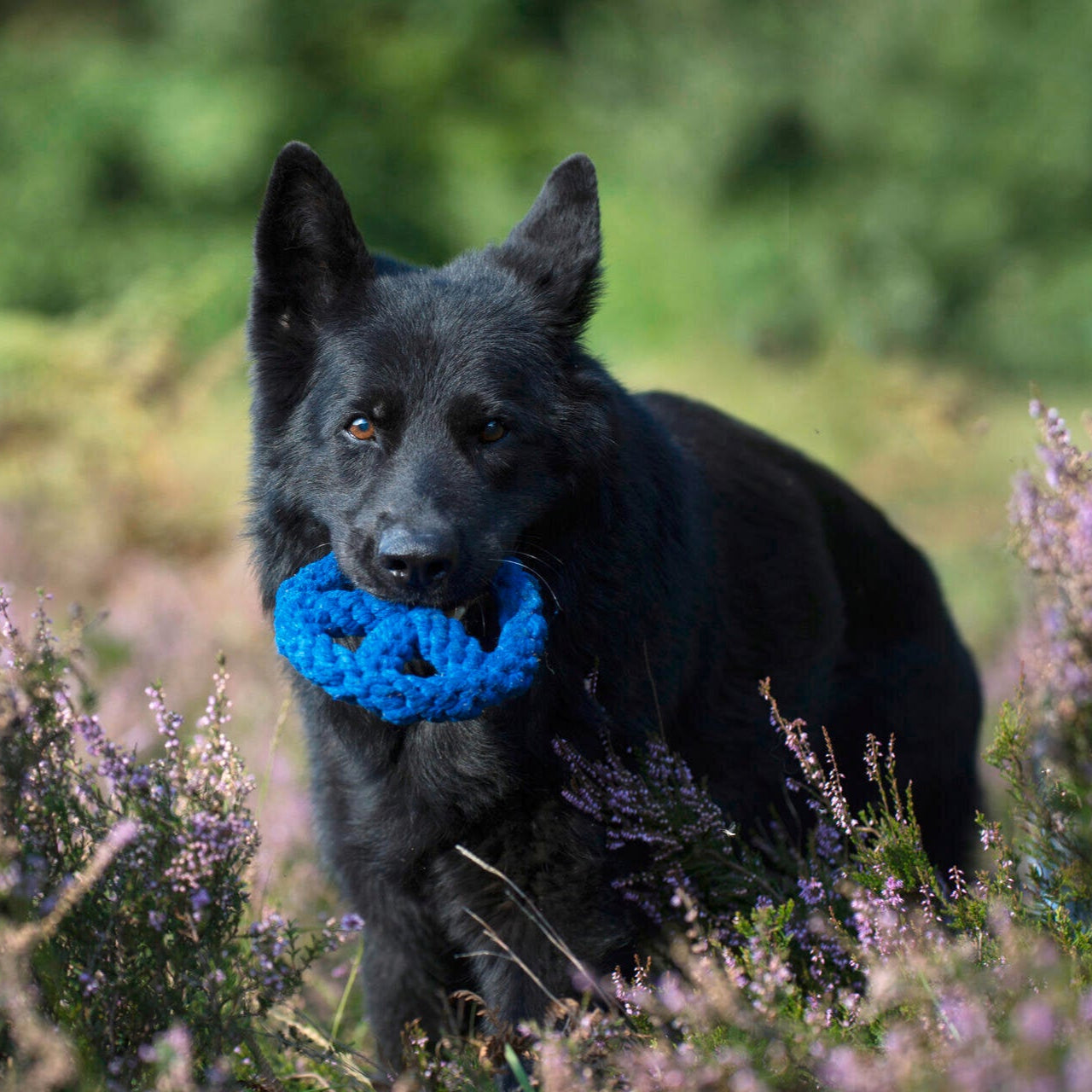 Paulchen Peace – Jouet en corde pour chien - Laboni