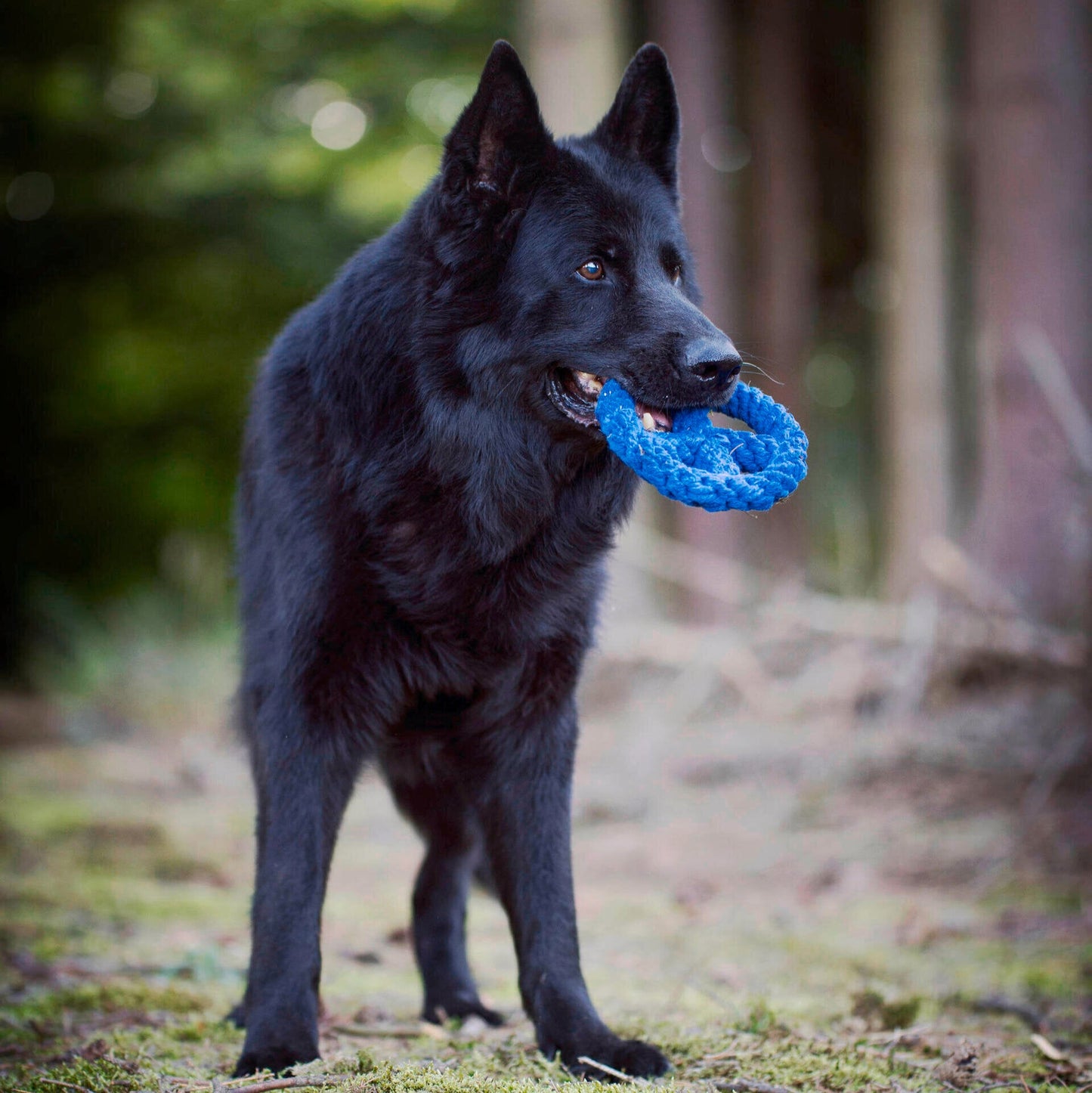Paulchen Peace – Jouet en corde pour chien - Laboni