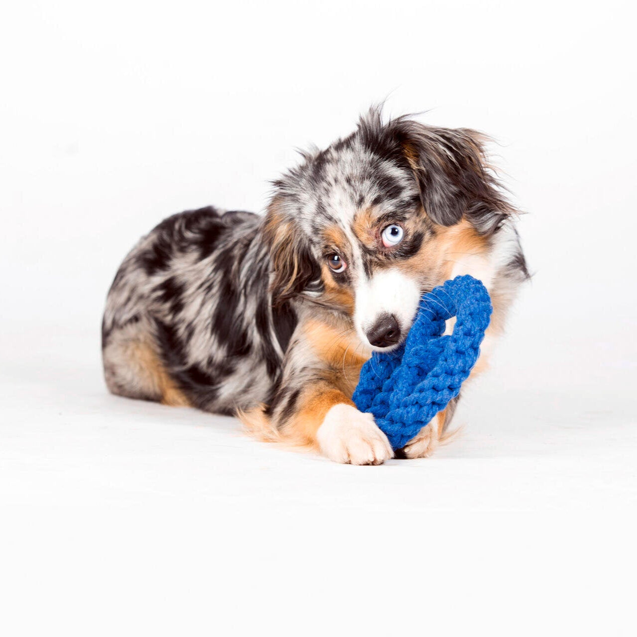 Paulchen Peace – Jouet en corde pour chien - Laboni