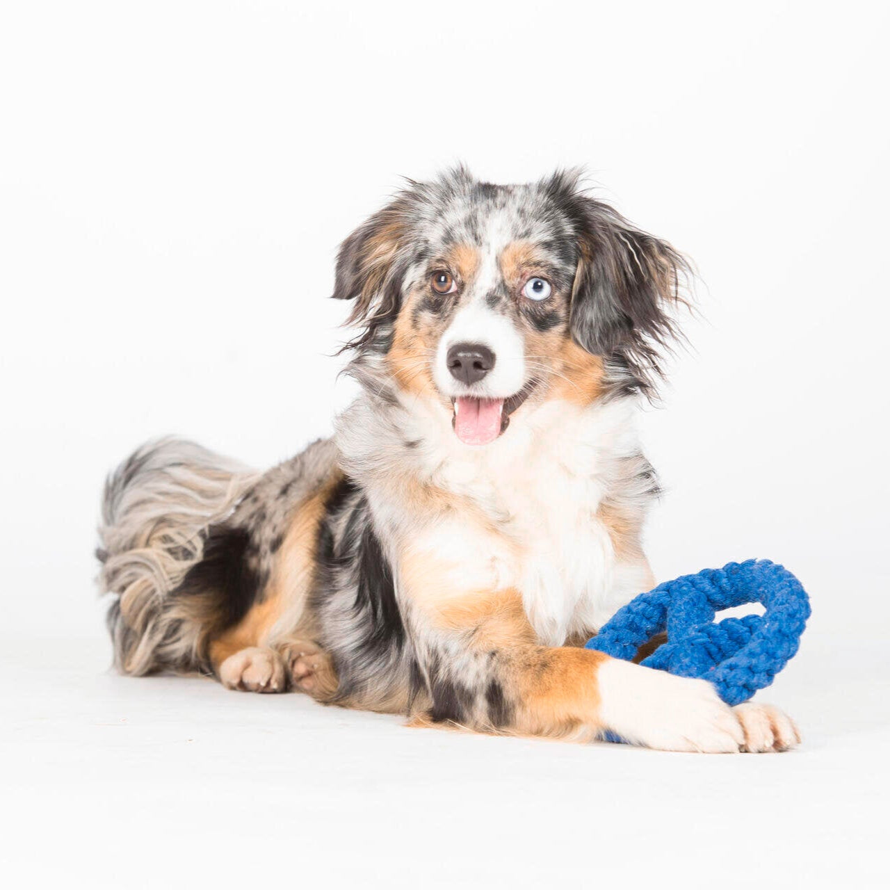 Paulchen Peace – Jouet en corde pour chien - Laboni