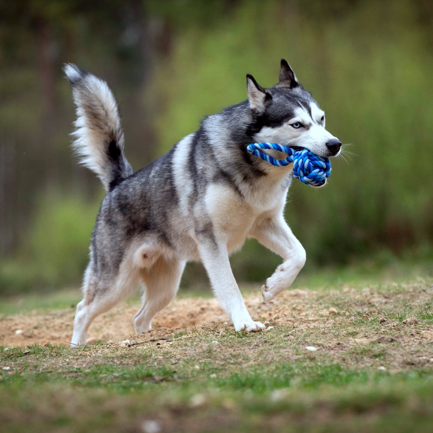 Balle à lancer – Jouet en corde pour chien - Laboni