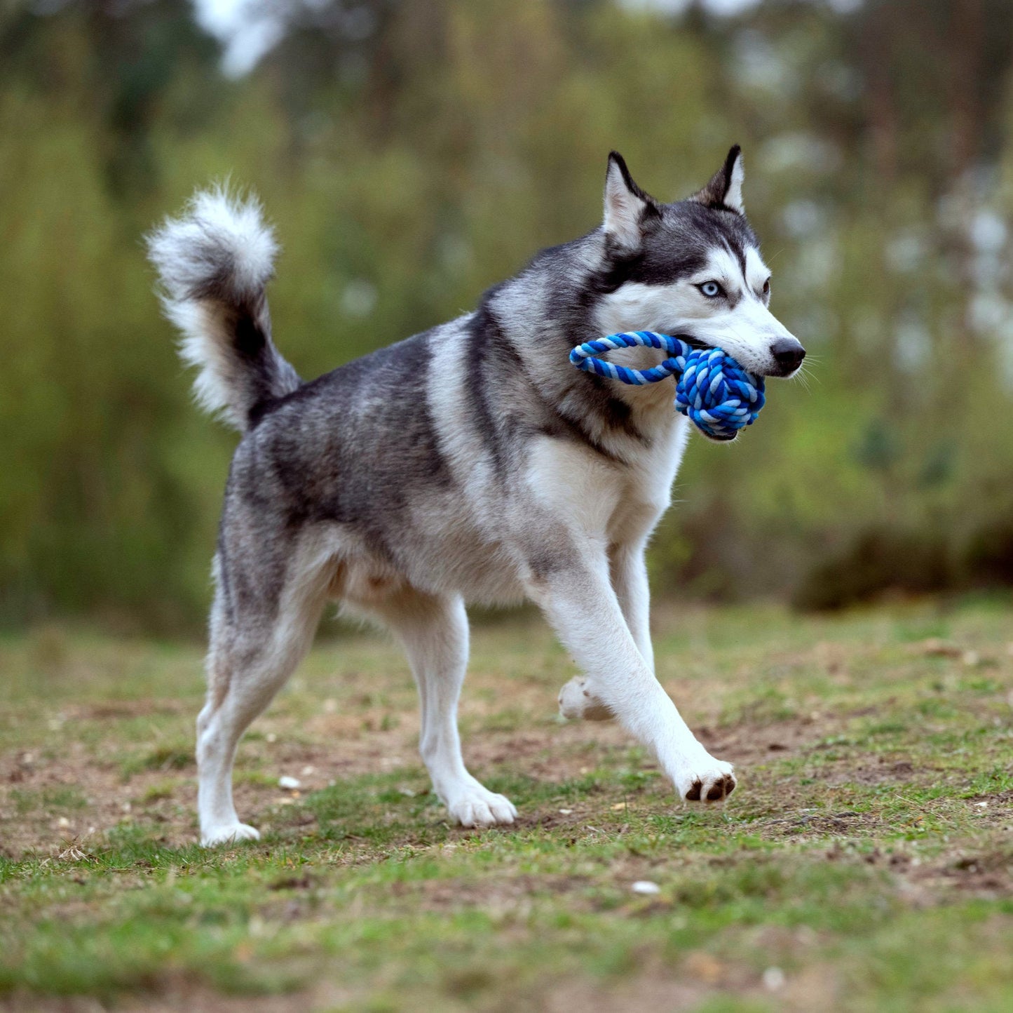 Balle à lancer – Jouet en corde pour chien - Laboni
