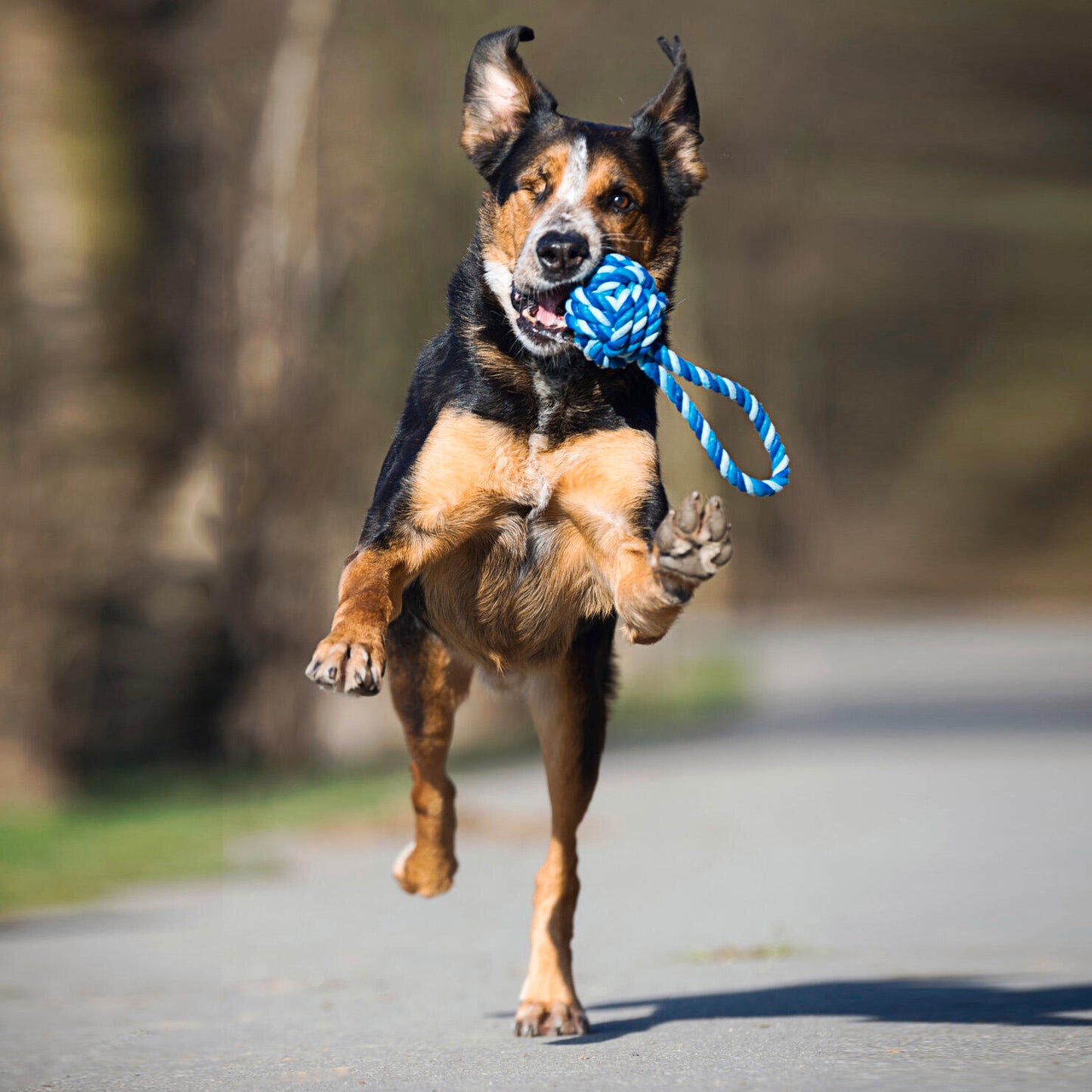 Balle à lancer – Jouet en corde pour chien - Laboni