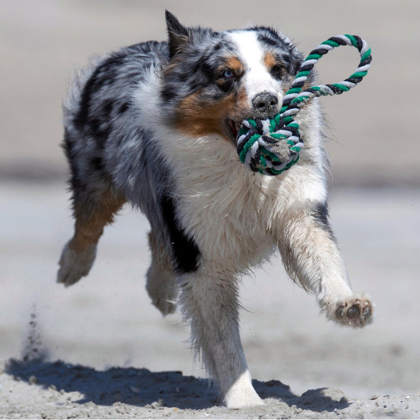 Balle à lancer – Jouet en corde pour chien - Laboni
