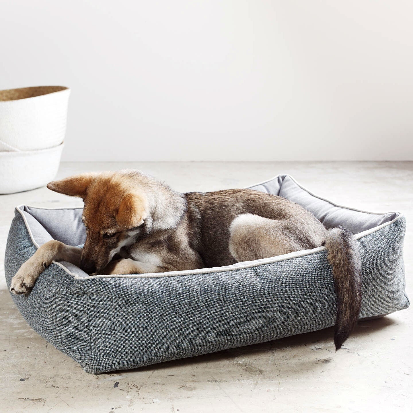 Panier pour chien SCALA – Bleu Denim - Laboni