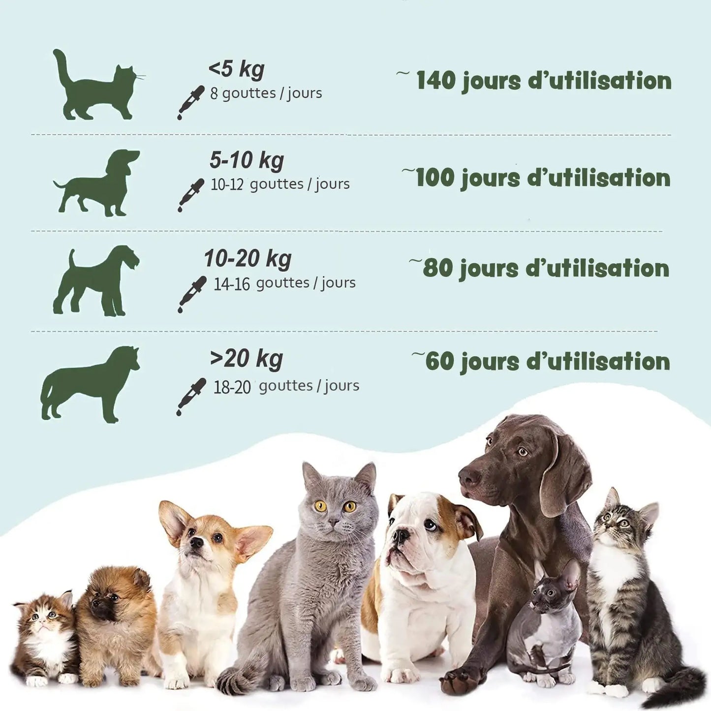 Huile de Chanvre saveur Poulet– Santé et Équilibre pour chiens et chats (30 ml) - THILIFE