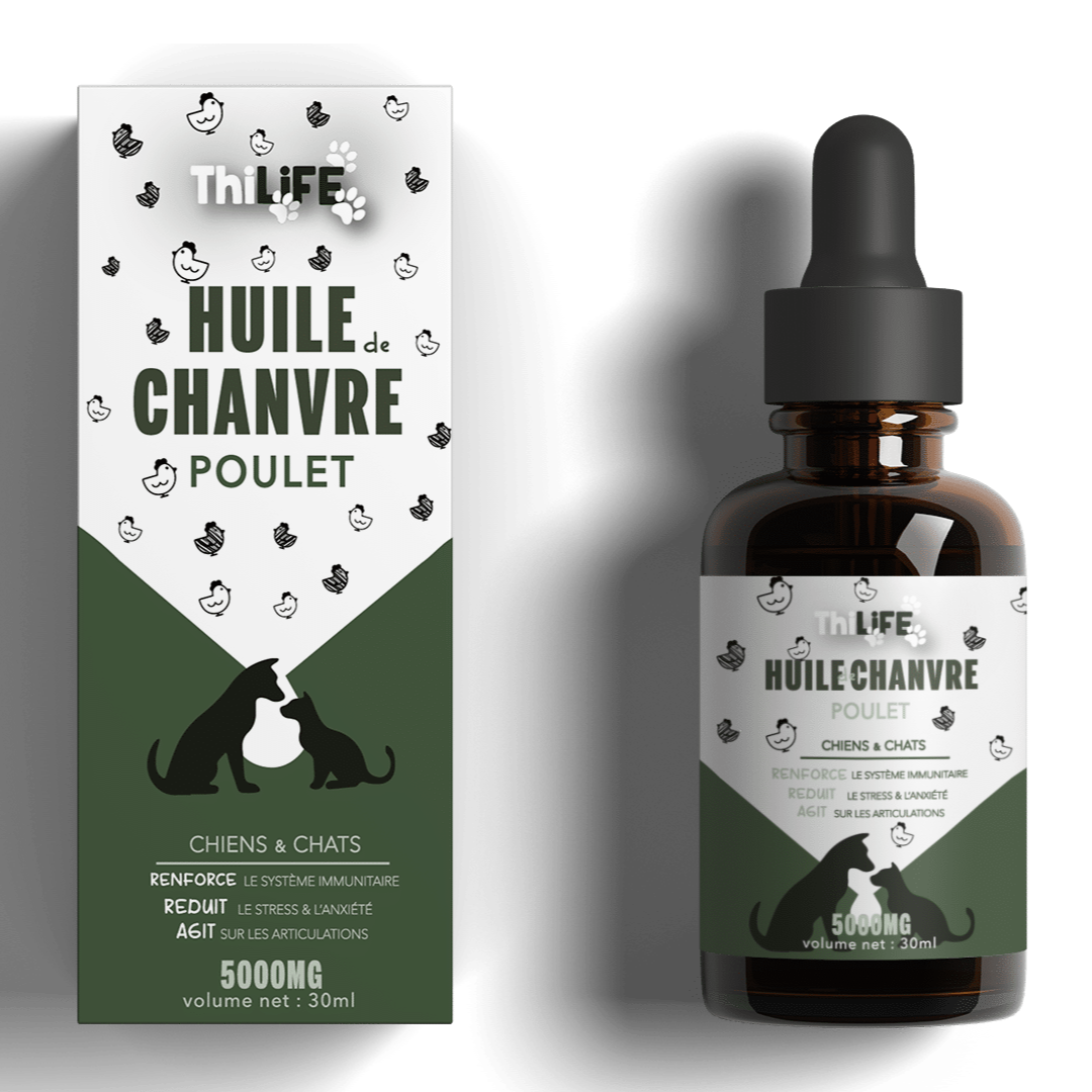 Huile de Chanvre saveur Poulet– Santé et Équilibre pour chiens et chats (30 ml) - THILIFE
