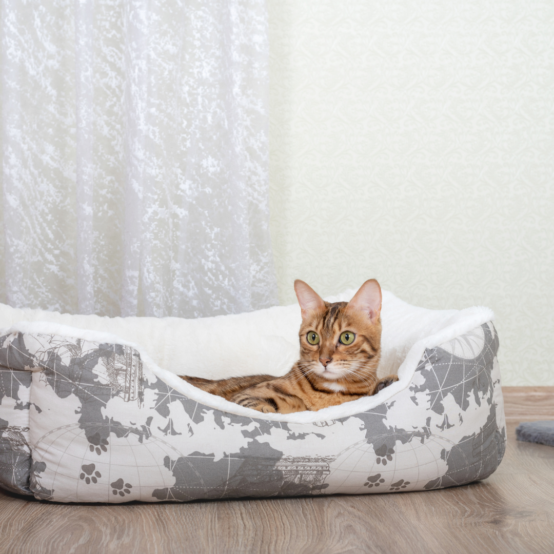 Lits et Paniers pour chats