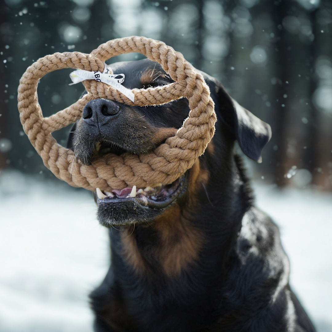 Britta le Bretzel - Jouet en corde pour chien - Laboni