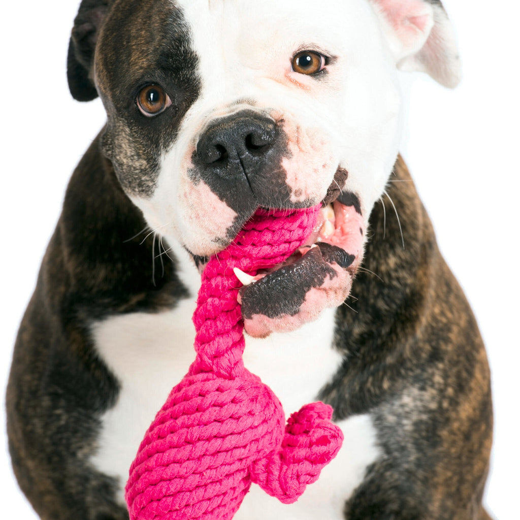 Franzi le Flamant rose – Jouet en corde pour chien - Laboni