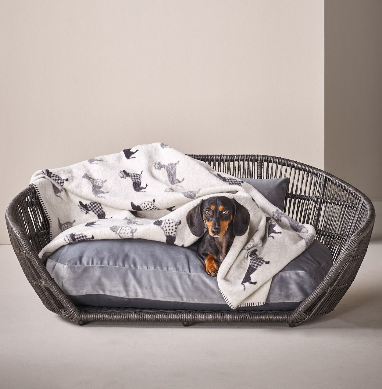 Couverture pour chien TECKEL - Laboni