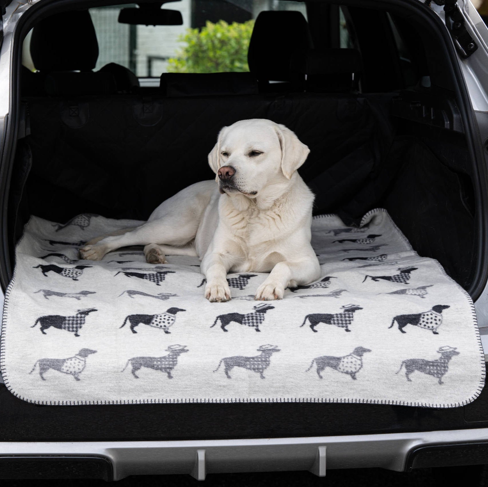 Couverture pour chien TECKEL - Laboni