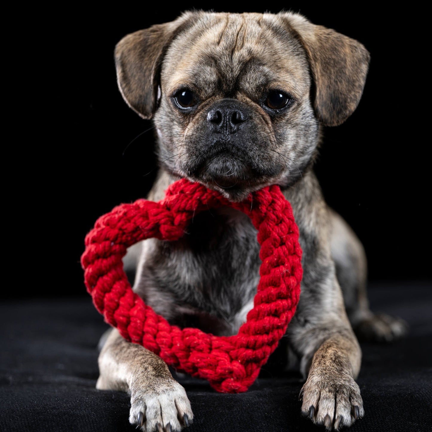 Hertha le Coeur – Jouet en corde pour chien - Laboni