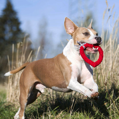Hertha le Coeur – Jouet en corde pour chien - Laboni