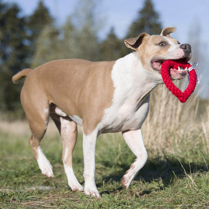 Hertha le Coeur – Jouet en corde pour chien - Laboni