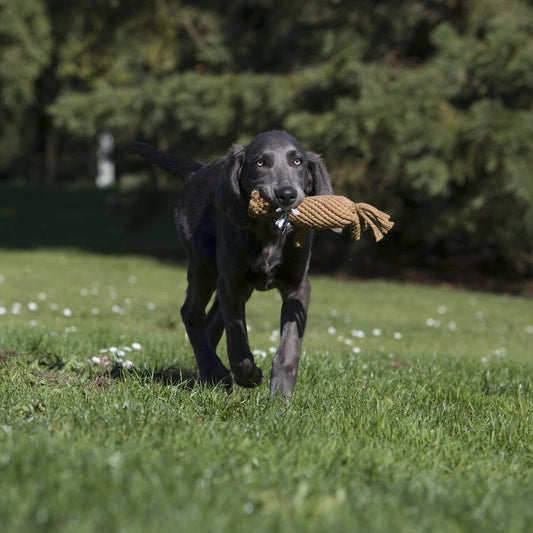 Franz l’Étalon – Jouet en corde pour chien - Laboni