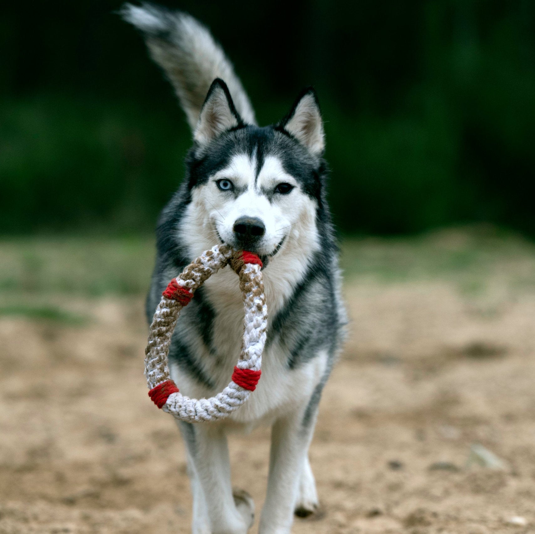 Rita la Bouée – Jouet en corde pour chien - Laboni