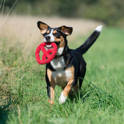 Paulchen Peace – Jouet en corde pour chien - Laboni
