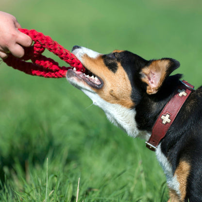 Paulchen Peace – Jouet en corde pour chien - Laboni