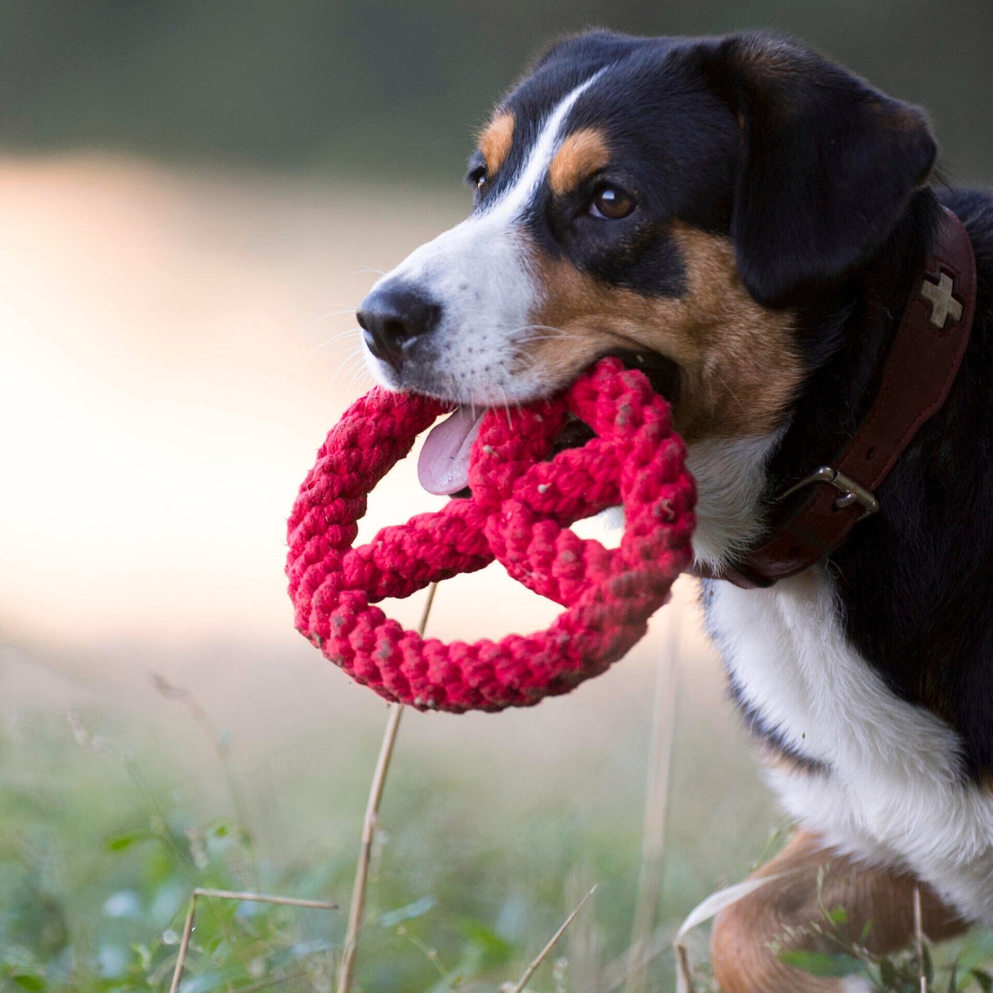 Paulchen Peace – Jouet en corde pour chien - Laboni