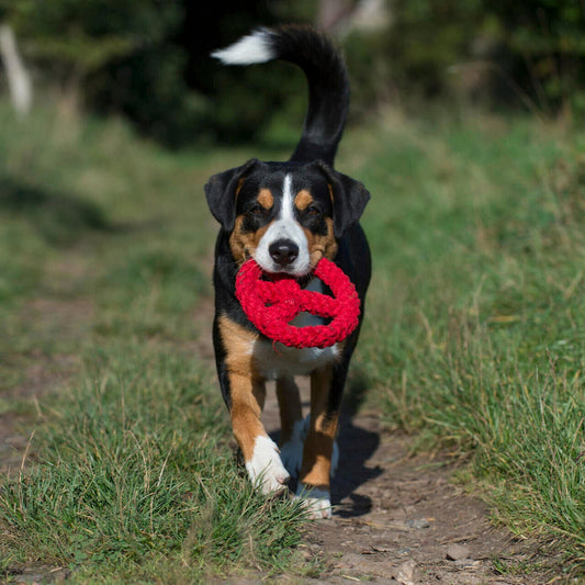 Paulchen Peace – Jouet en corde pour chien - Laboni