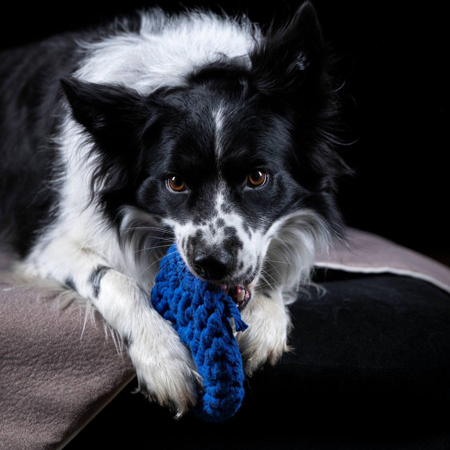 Paulchen Peace – Jouet en corde pour chien - Laboni