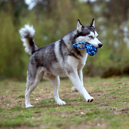 Balle à lancer – Jouet en corde pour chien - Laboni