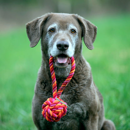 Balle à lancer – Jouet en corde pour chien - Laboni
