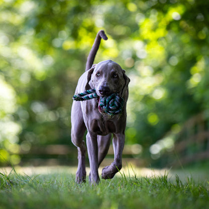 Balle à lancer – Jouet en corde pour chien - Laboni