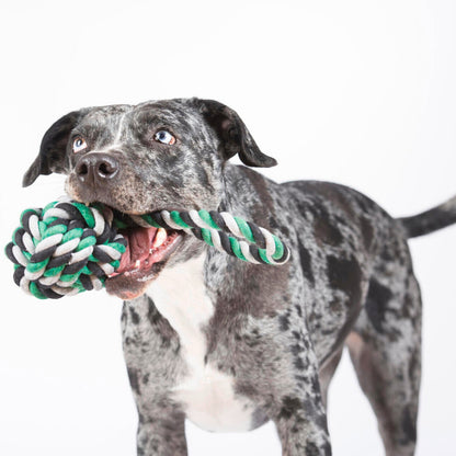 Balle à lancer – Jouet en corde pour chien - Laboni