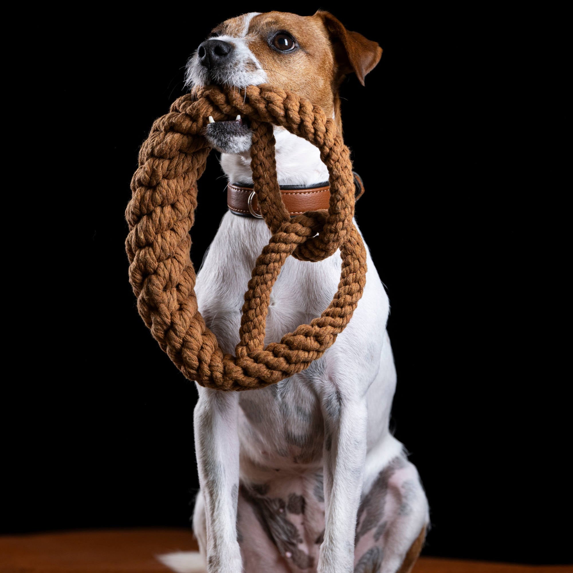 Britta le Bretzel - Jouet en corde pour chien - Laboni