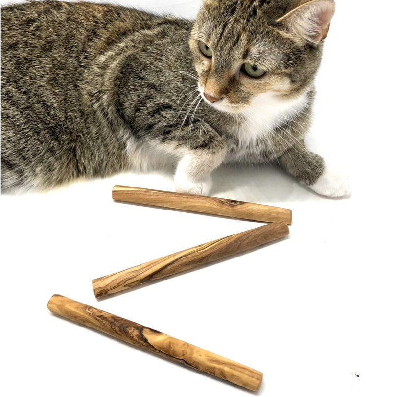 Lot de 3 bâtons à mâcher en bois d’olivier – Pour petits chiens et chats