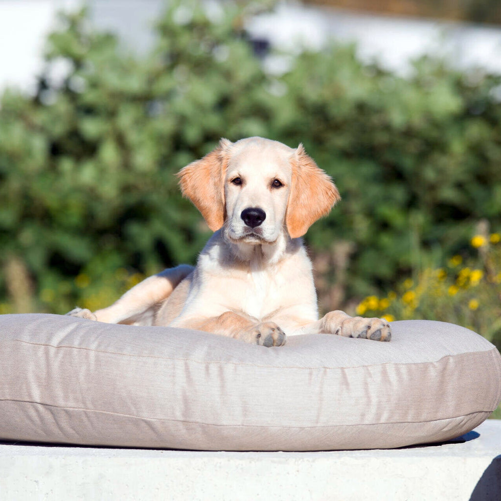 Panier design pour chien PRADO – SMOOTH - 2 coloris - Laboni