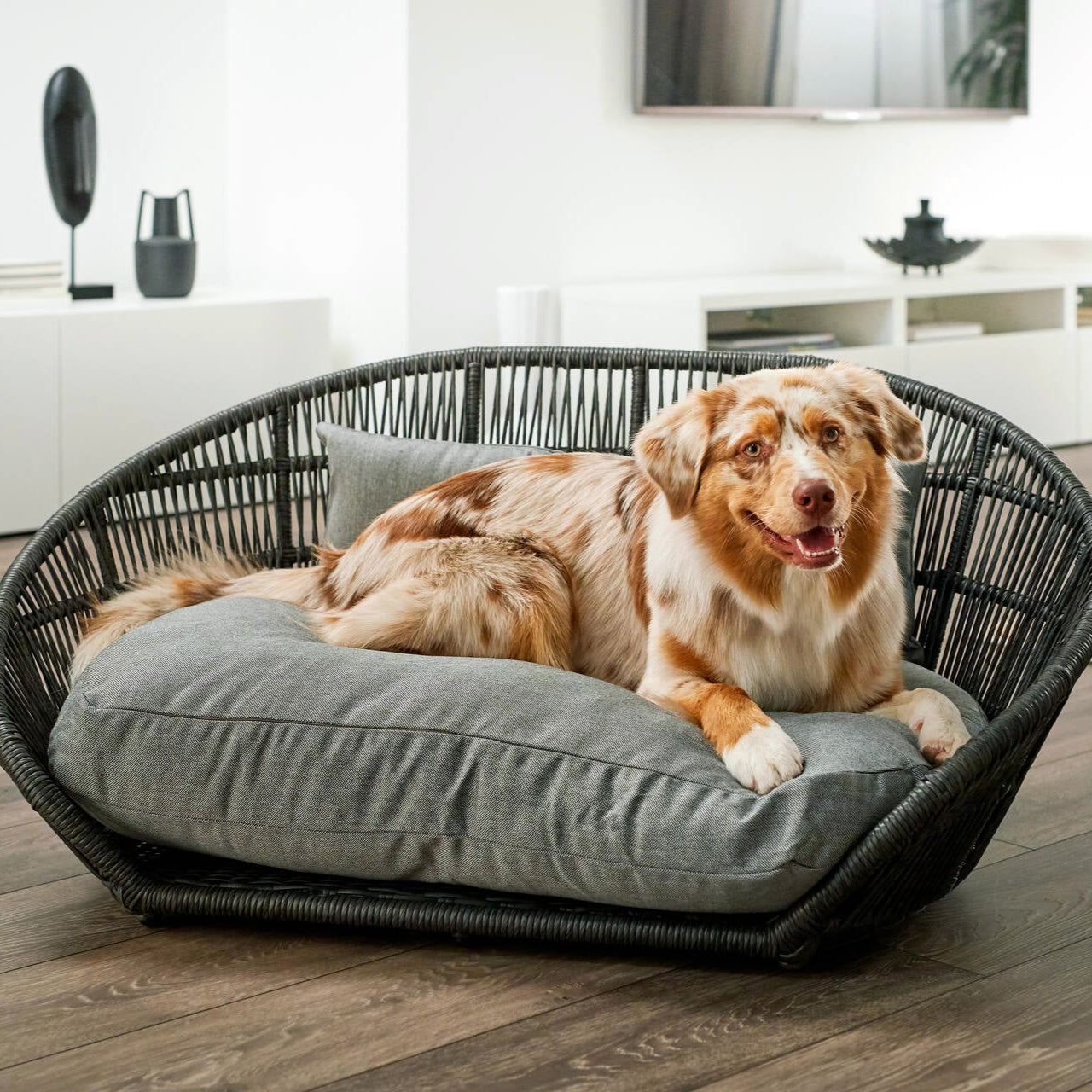 Panier design pour chien PRADO – SMOOTH - 2 coloris - Laboni