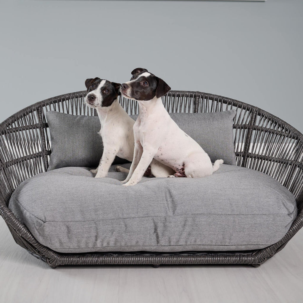 Panier design pour chien PRADO – SMOOTH - 2 coloris - Laboni