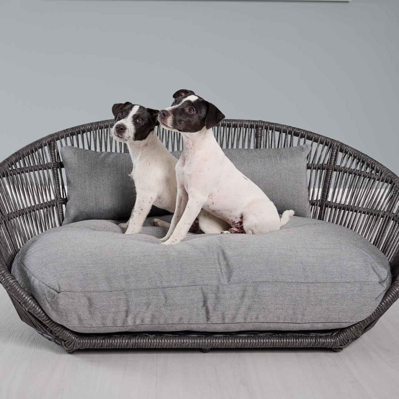 Panier design pour chien PRADO – SMOOTH - 2 coloris - Laboni