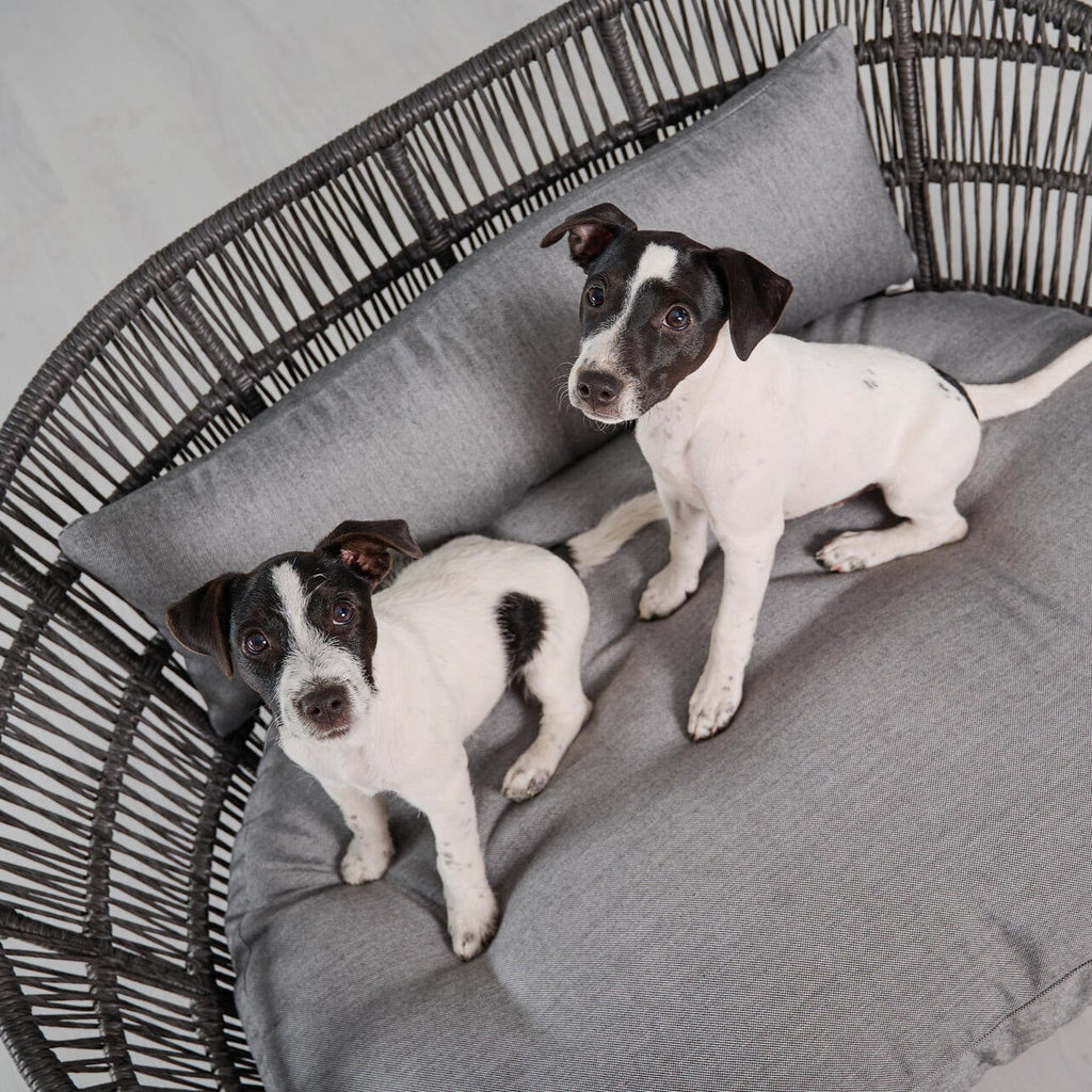Panier design pour chien PRADO – SMOOTH - 2 coloris - Laboni