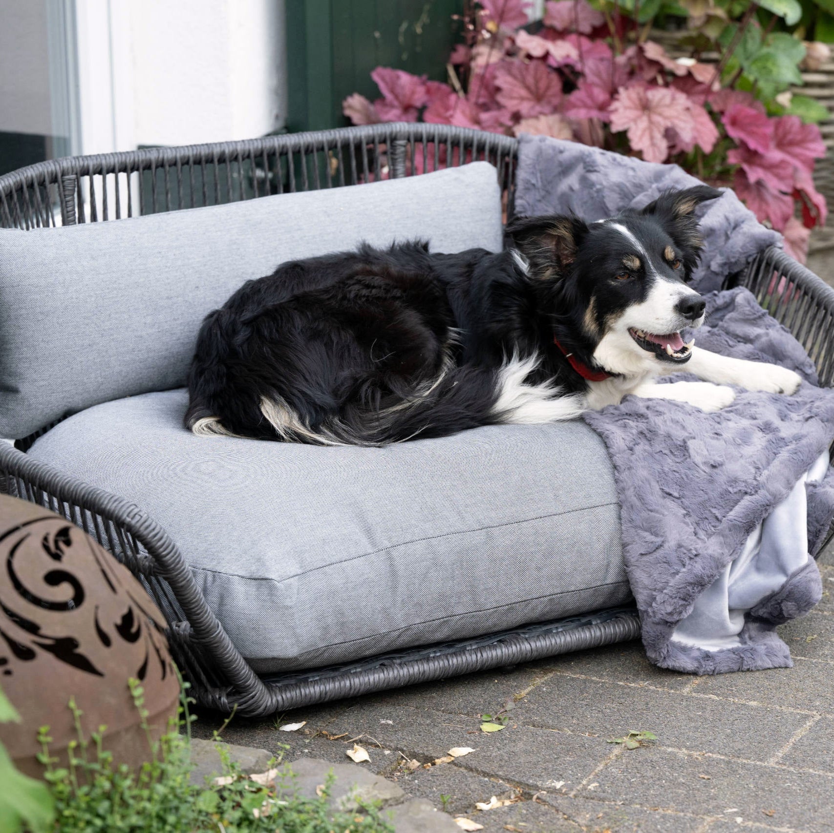 Panier design pour chien PRADO – SMOOTH - 2 coloris - Laboni