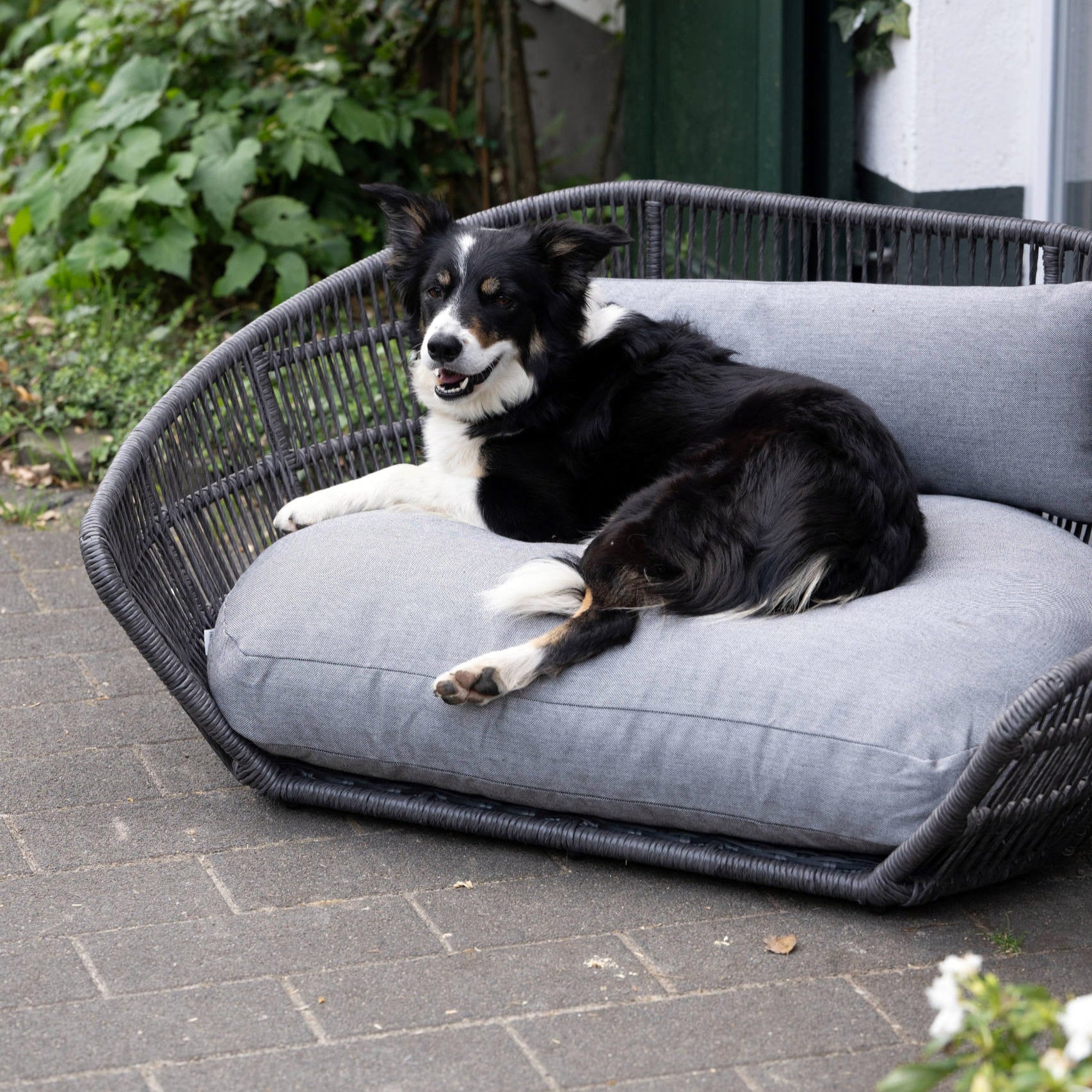 Panier design pour chien PRADO – SMOOTH - 2 coloris - Laboni