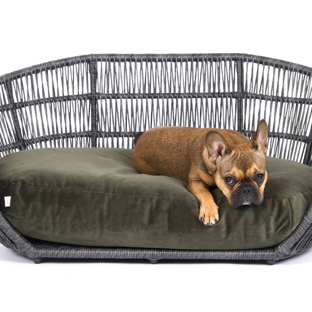Panier design pour chien PRADO - OXFORD - 3 coloris - Laboni