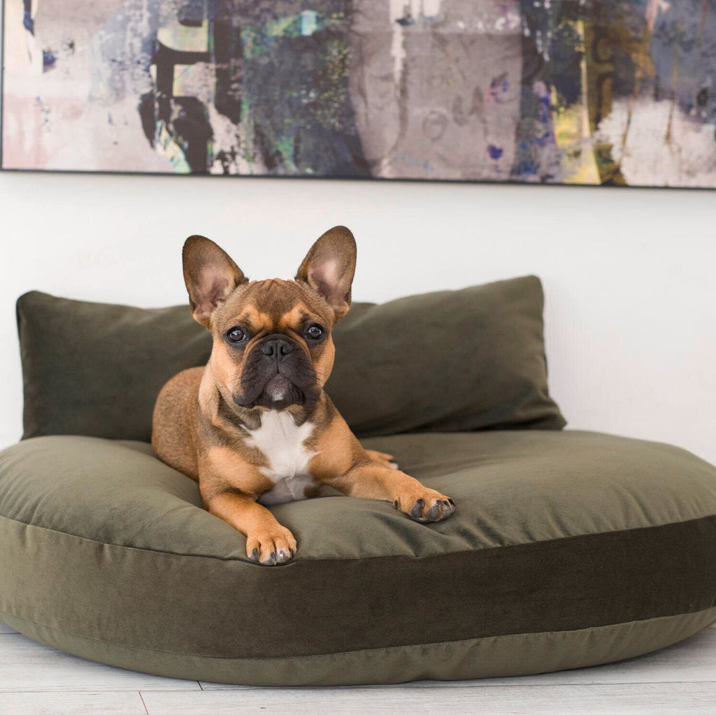 Panier design pour chien PRADO - OXFORD - 3 coloris - Laboni