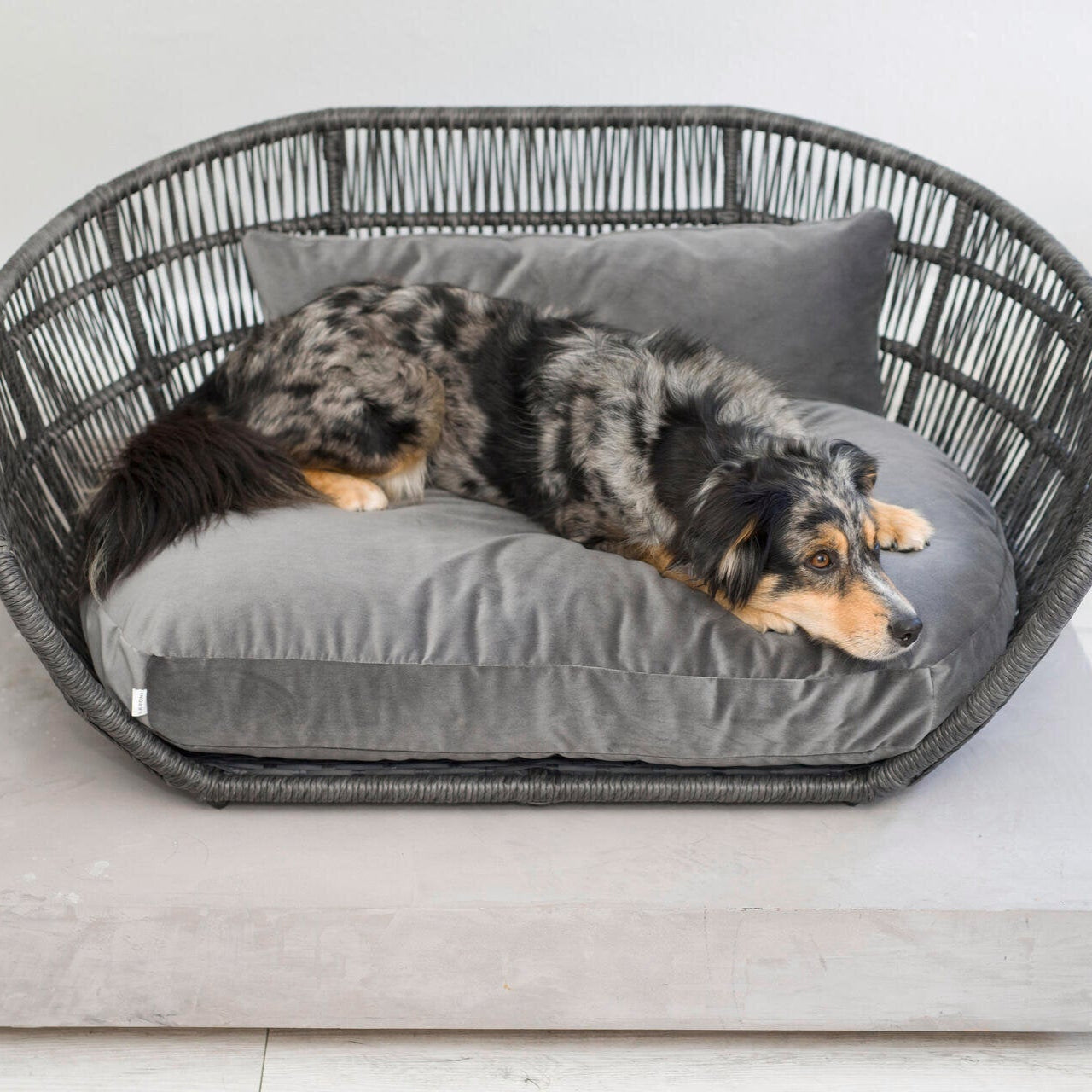 Panier design pour chien PRADO - OXFORD - 3 coloris - Laboni