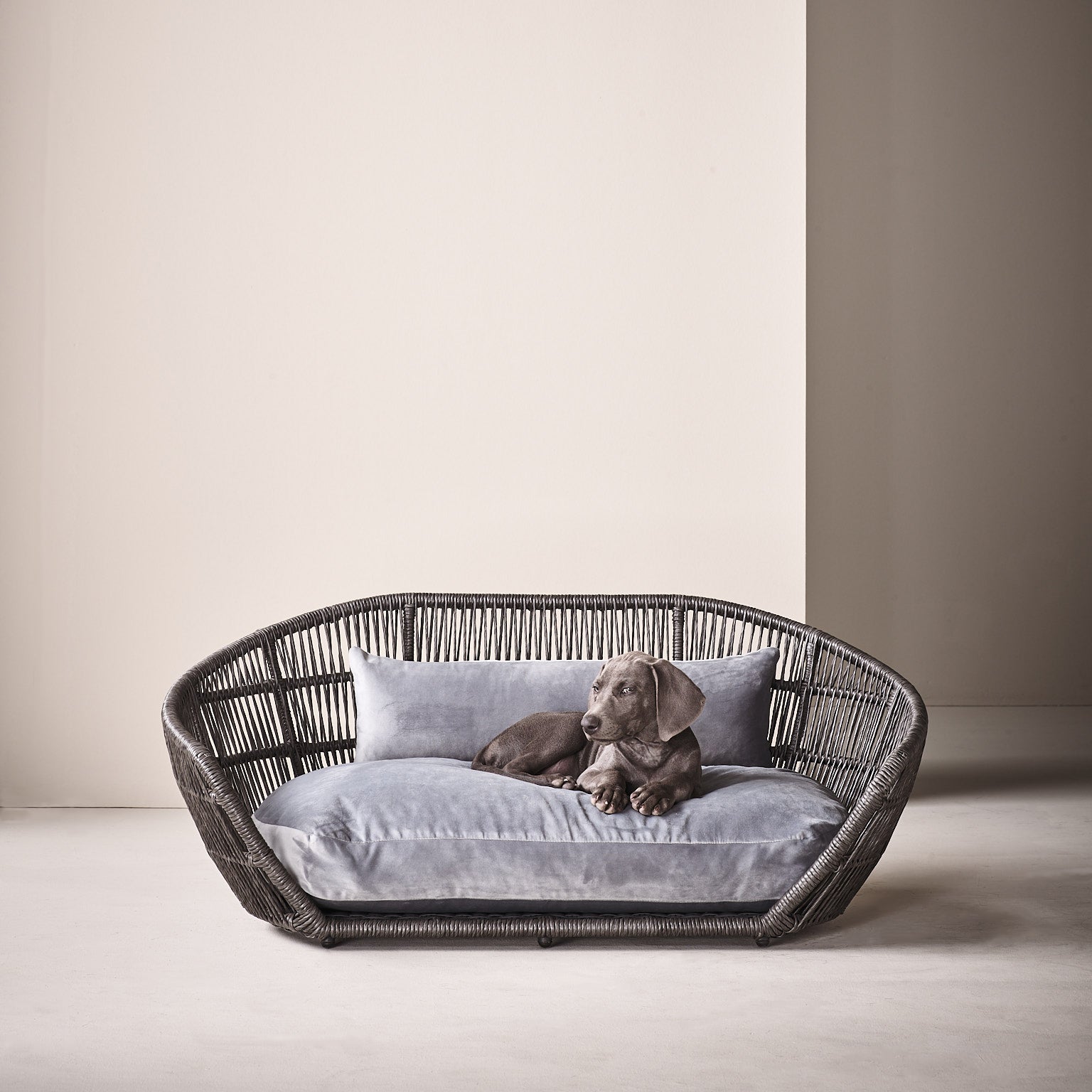 Panier design pour chien PRADO - OXFORD - 3 coloris - Laboni