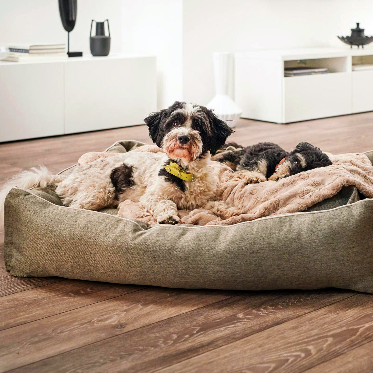 Panier pour chien UNO – Vert - Laboni