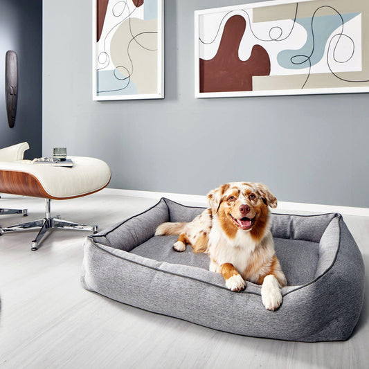 Panier pour chien UNO – Gris - Laboni