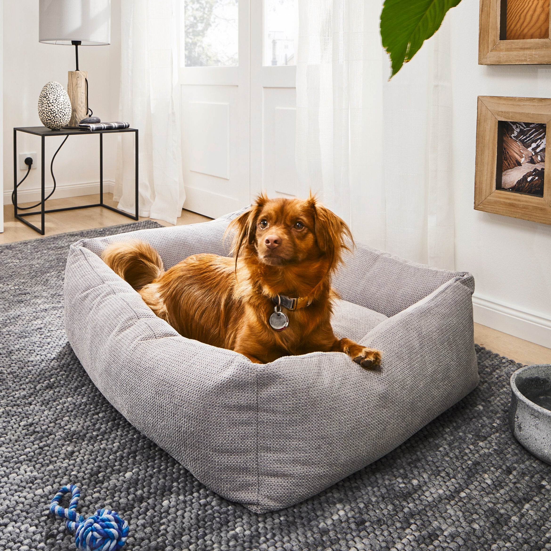 Panier pour chien TUDOR - Gris élégant - Laboni